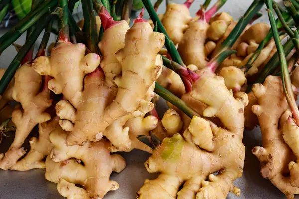 GINGER
