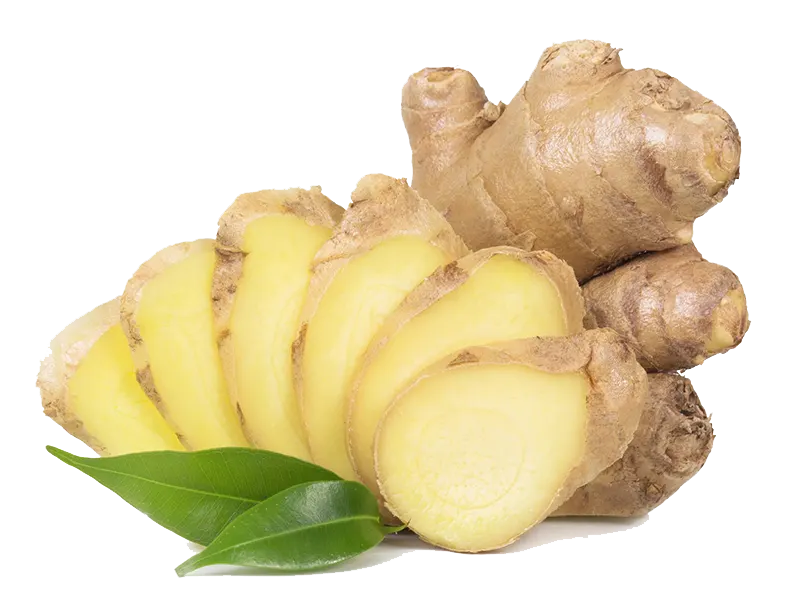 GINGER