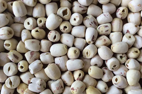 LOTUS SEEDS